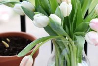 3 Essential Factors for Planning a Successful Garden