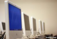 Why Developers Choose the Thesis WordPress Theme and Why It Works