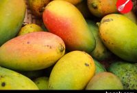 Black Spots on Mangoes: Causes and Is It Safe to Eat