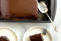 Dr Pepper Chocolate Sheet Cake Recipe – Moist Soda Cake Tutorial