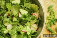 Spring Green Salad with Wild Spruce Tips for Springtime Flavor