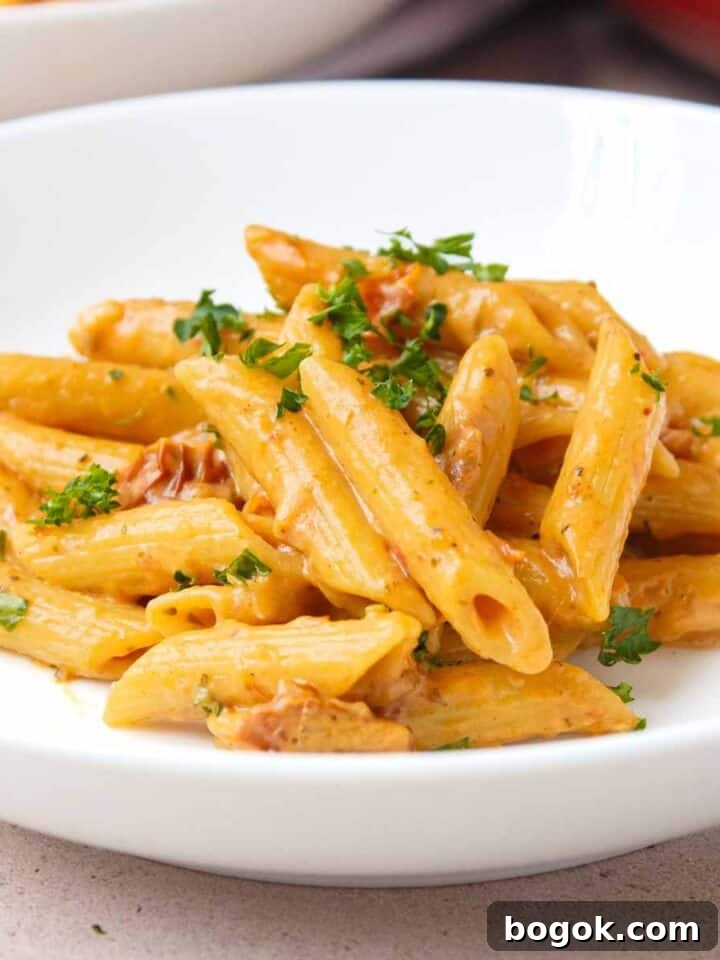 One Pot Sun-Dried Tomato Pasta