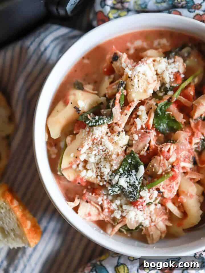 Tortellini Chicken Soup