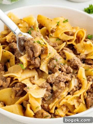 One Pot Ground Beef Egg Noodles