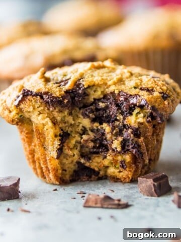 A paleo chocolate chip zucchini muffin with a bite out of it.