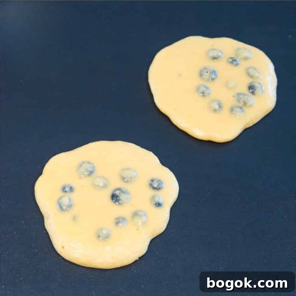 Fluffy Paleo Blueberry Pancakes: Grain-Free Breakfast Recipe 7 Blueberry pancakes cooking on a griddle.