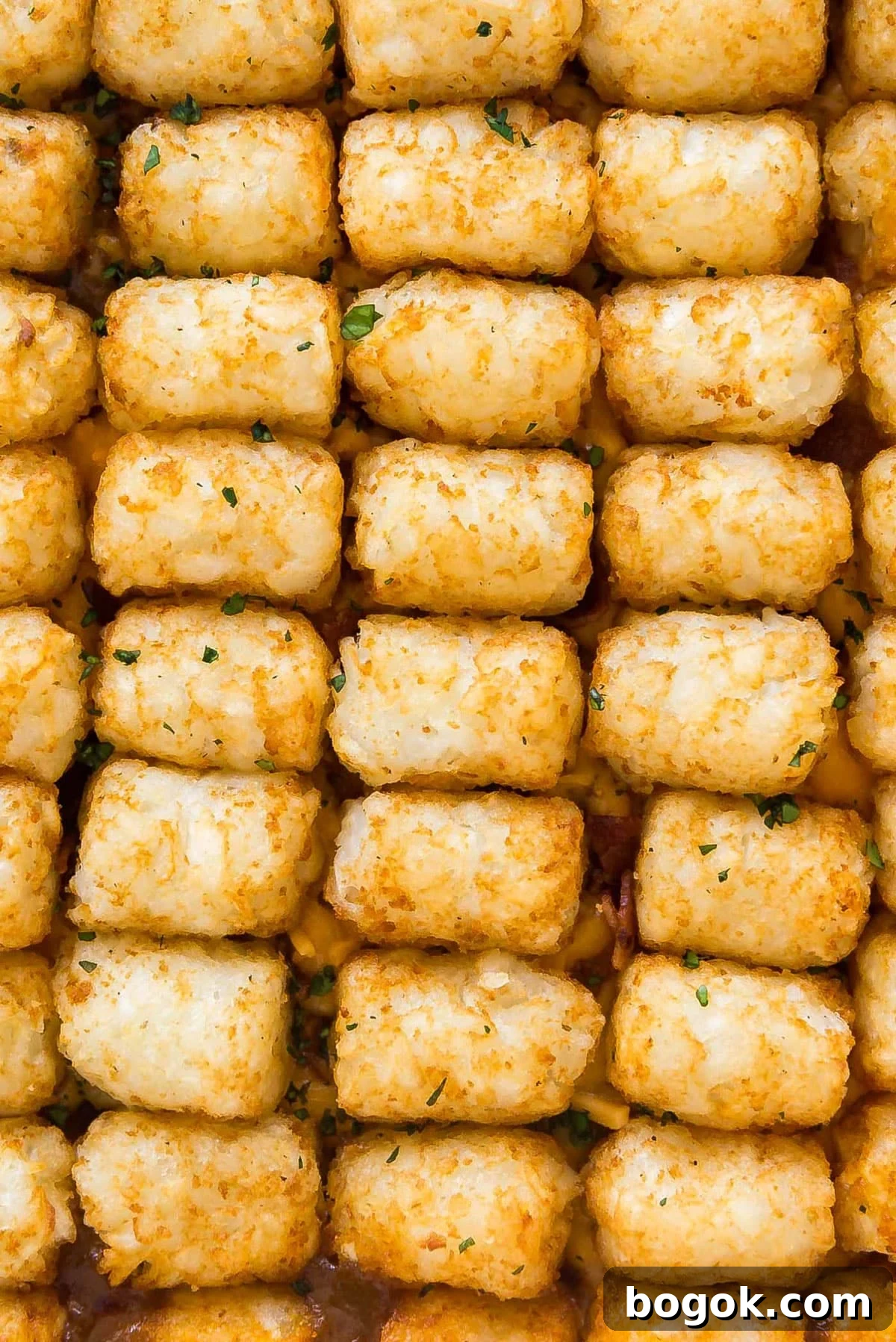 Bacon Cheeseburger Tater Tot Casserole Recipe 11 Close up image of the tater tots on top of the casserole.