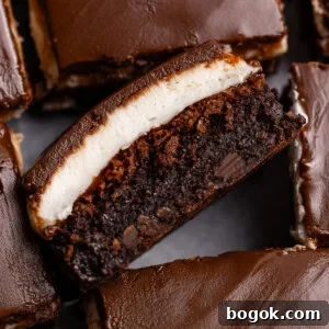 Chocolate cookie bars with marshmallow and chocolate topping close-up.