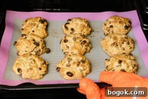 Nine cooked rock cakes being pulled out of the oven.