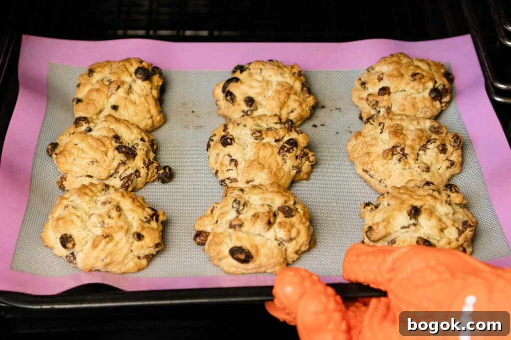 Nine cooked rock cakes being pulled out of the oven.