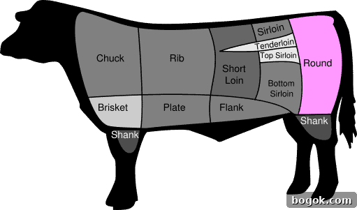 Drawing of a cow showing the beef rounds come from the hind quarters of the animal