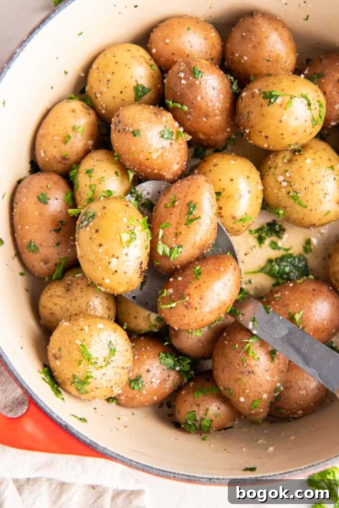Parsley potatoes in a Dutch oven.