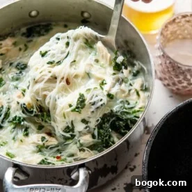 Thai Chicken Noodle Soup