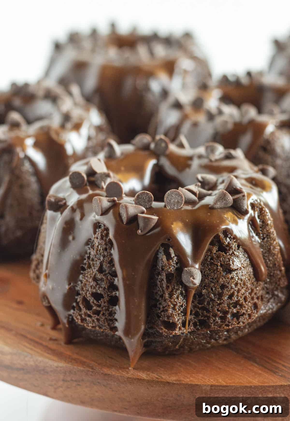 A half dozen mini chocolate bundt cakes with chocolate glaze and mini chocolate chips.