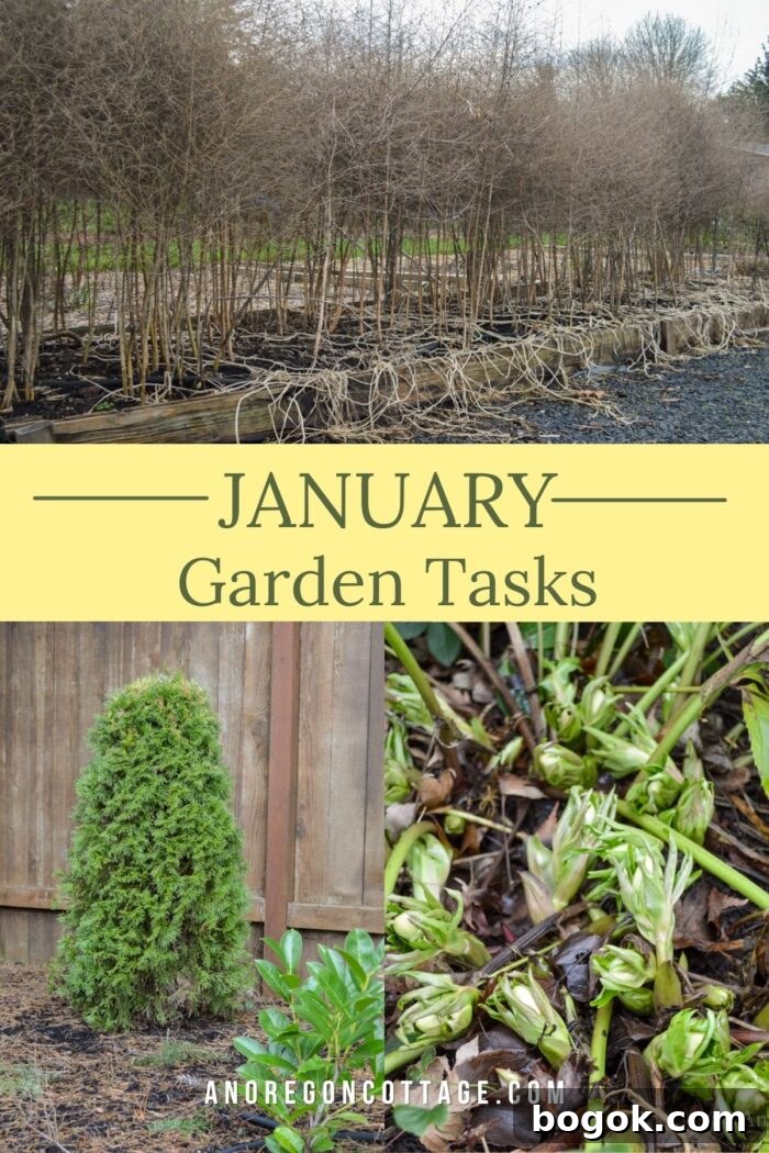 January Garden Tasks for PNW and Similar Climate Zones 7 January garden tasks