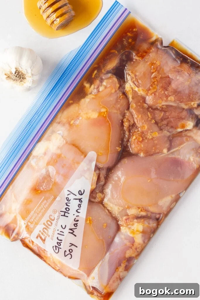Top down shot of raw boneless skinless chicken thighs in a garlic honey soy marinade next to a head of garlic and some honey, all on a white background.