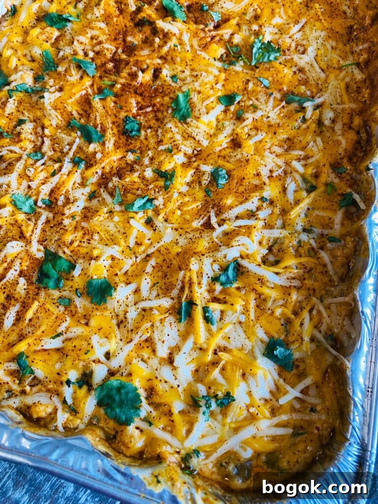 Mouthwatering Cinco de Mayo Party Recipes and Appetizers 2 Hot Mexican Street Corn Dip