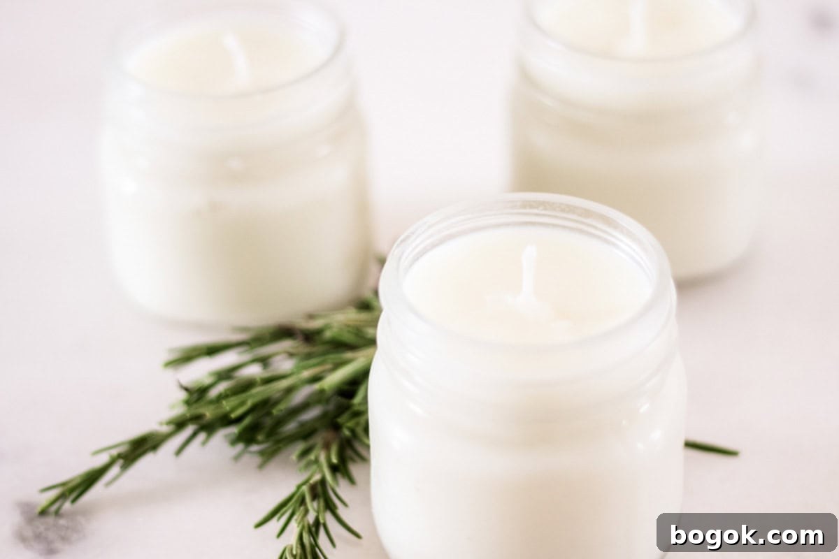 Three rosemary mint soy candles with an evergreen sprig.