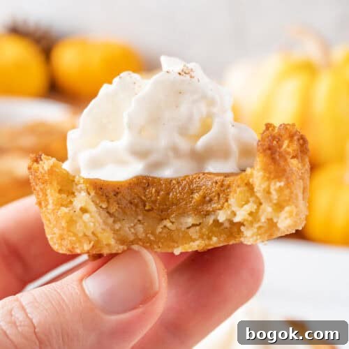 Holding a Pumpkin Pie Cookie topped with whipped cream with a bite taken out.