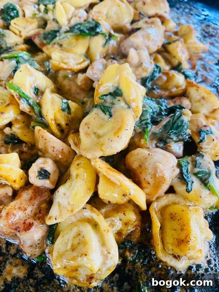 Blackstone Chopped Italian Sandwiches Recipe 12 Blackstone Chicken Caesar Tortellini