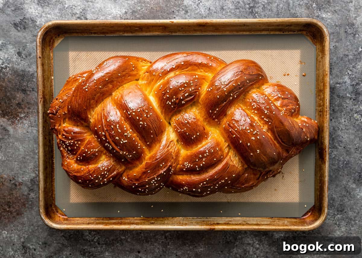 Authentic Challah Recipe: Soft, Braided Jewish Bread Tutorial 22 overhead: challah bread on sheet pan on table