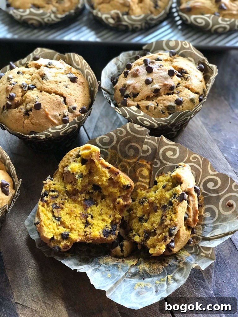 Chocolate Chip Pumpkin Muffins broken open