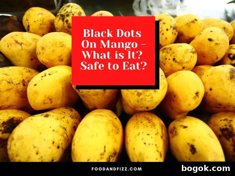 Black Spots on Mangoes: Causes and Is It Safe to Eat 2 Black Dots On Mango - What is it? Safe to Eat?
