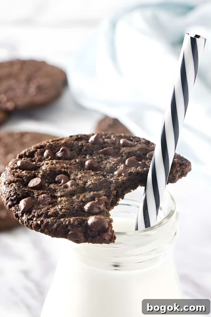 Bitten chocolate cookie on milk bottle with extra chocolate chips.