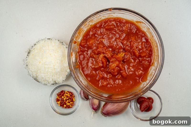 Spicy Spaghetti all'Arrabbiata Recipe with Garlic and Chili 3 Ingredients for this recipe