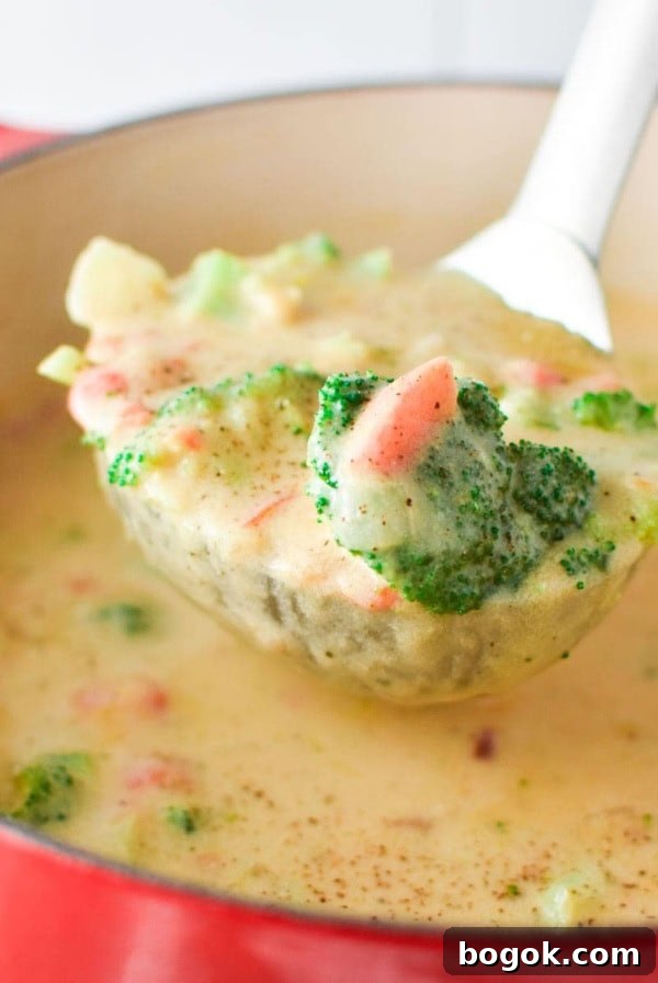 Boursin-Stuffed Mushrooms with Garlic and Herbs 12 A ladle filled with Boursin broccoli cheese soup coming out of a red pot
