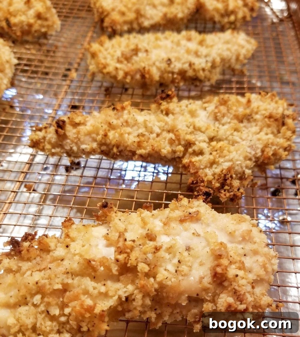 31 Chicken Tenderloin Recipes for Flavorful Weeknight Meals 12 Oven Baked Chicken Tenders