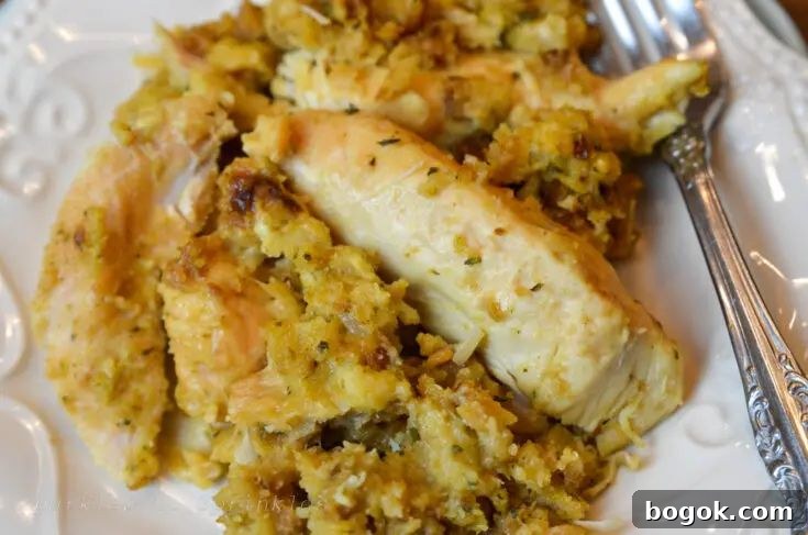 31 Chicken Tenderloin Recipes for Flavorful Weeknight Meals 28 Chicken and Stuffing