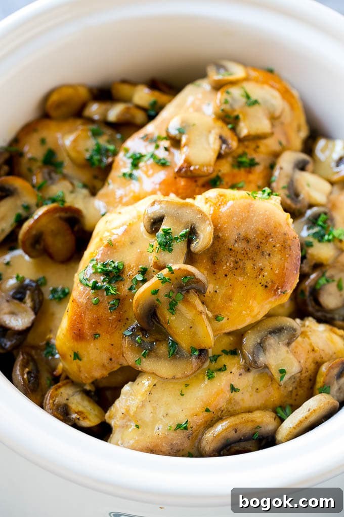 31 Chicken Tenderloin Recipes for Flavorful Weeknight Meals 31 Chicken Marsala