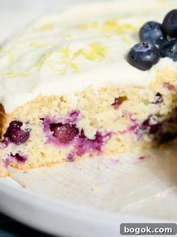 Blueberries in a slice of Sourdough Lemon Blueberry Cake.