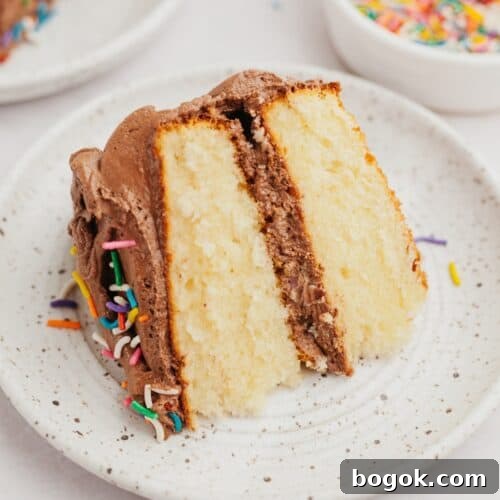 A slice of vanilla cake on a small plate.