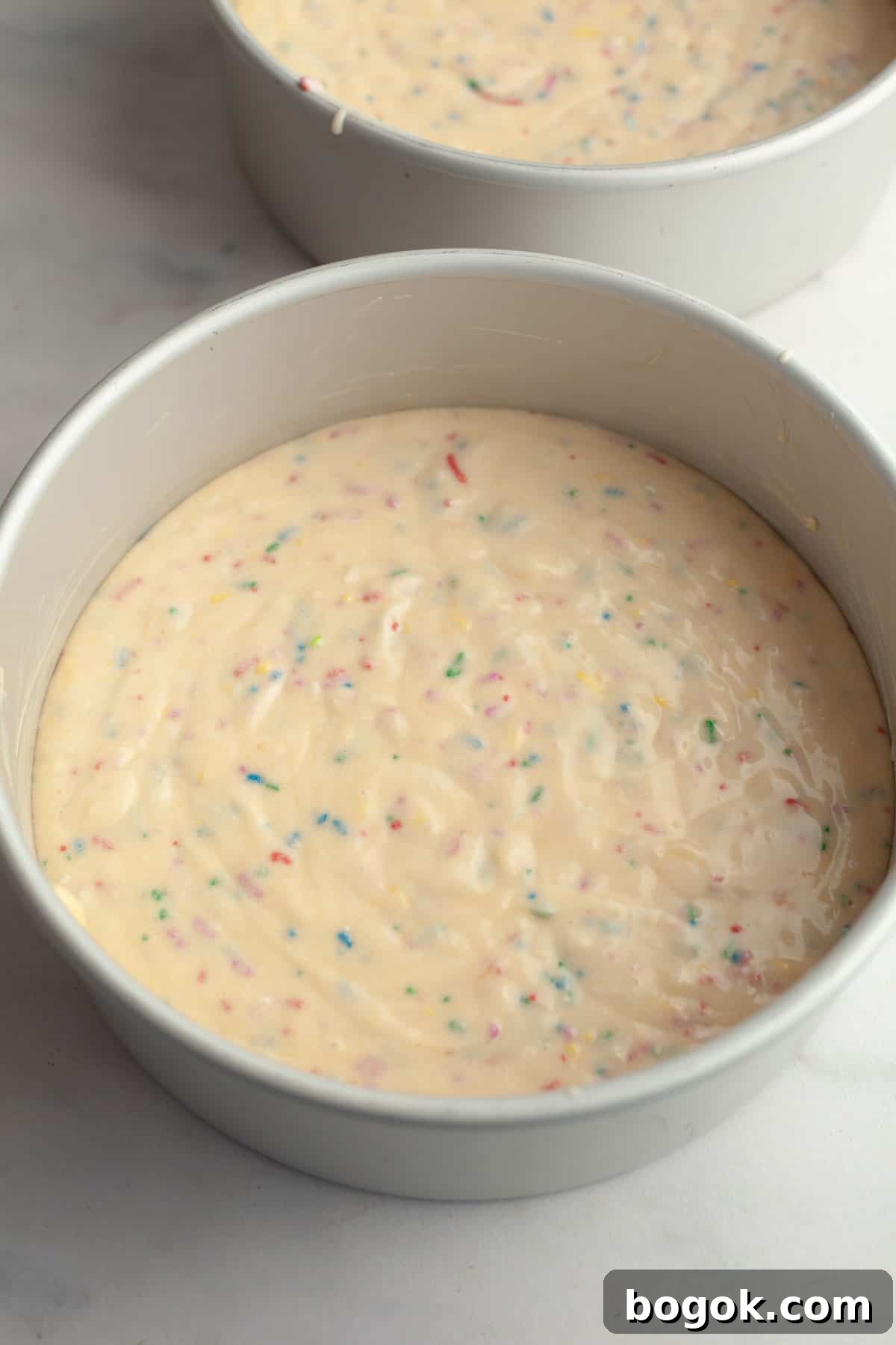 Unbaked funfetti cake in two round cake pans.