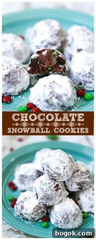 Chocolate Snowball Cookies