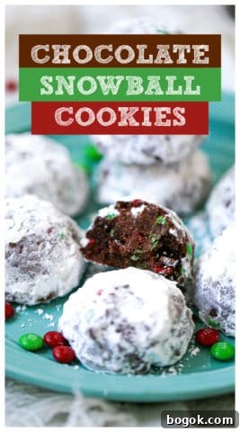 Chocolate Snowball Cookies