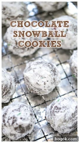 Chocolate Snowball Cookies