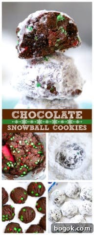 Chocolate Snowball Cookies