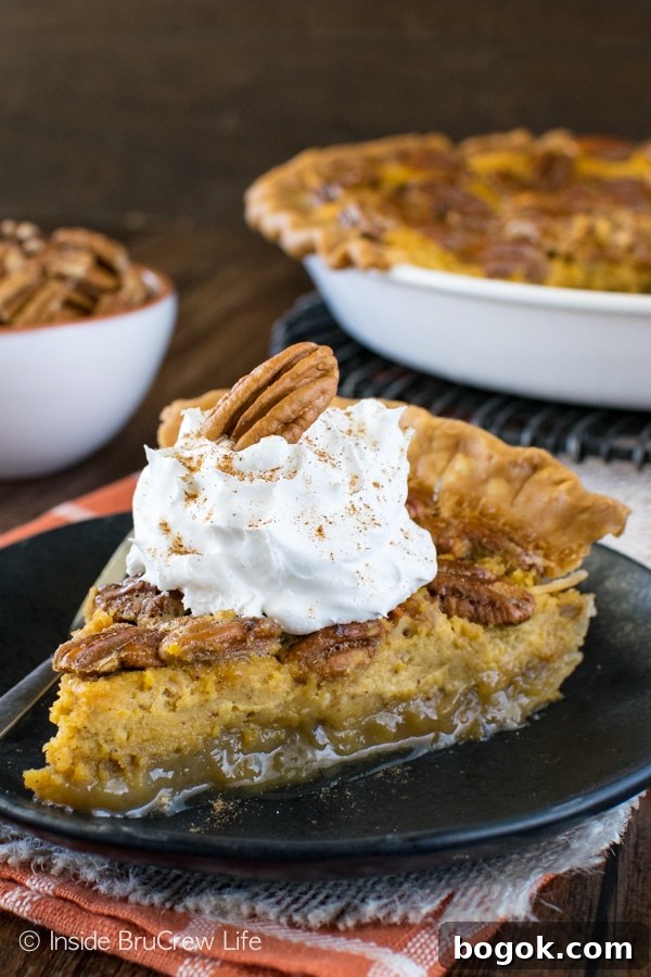 A slice of pecan pie cheesecake topped with Cool Whip and a pecan on a black plate.