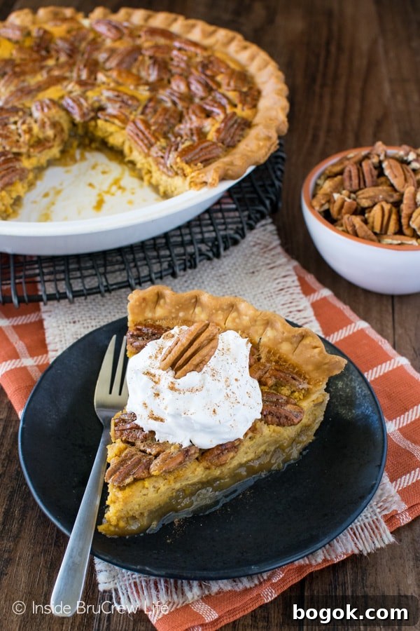 A slice of Pecan Pumpkin Cheesecake Pie on a black plate with the rest of the pie behind it