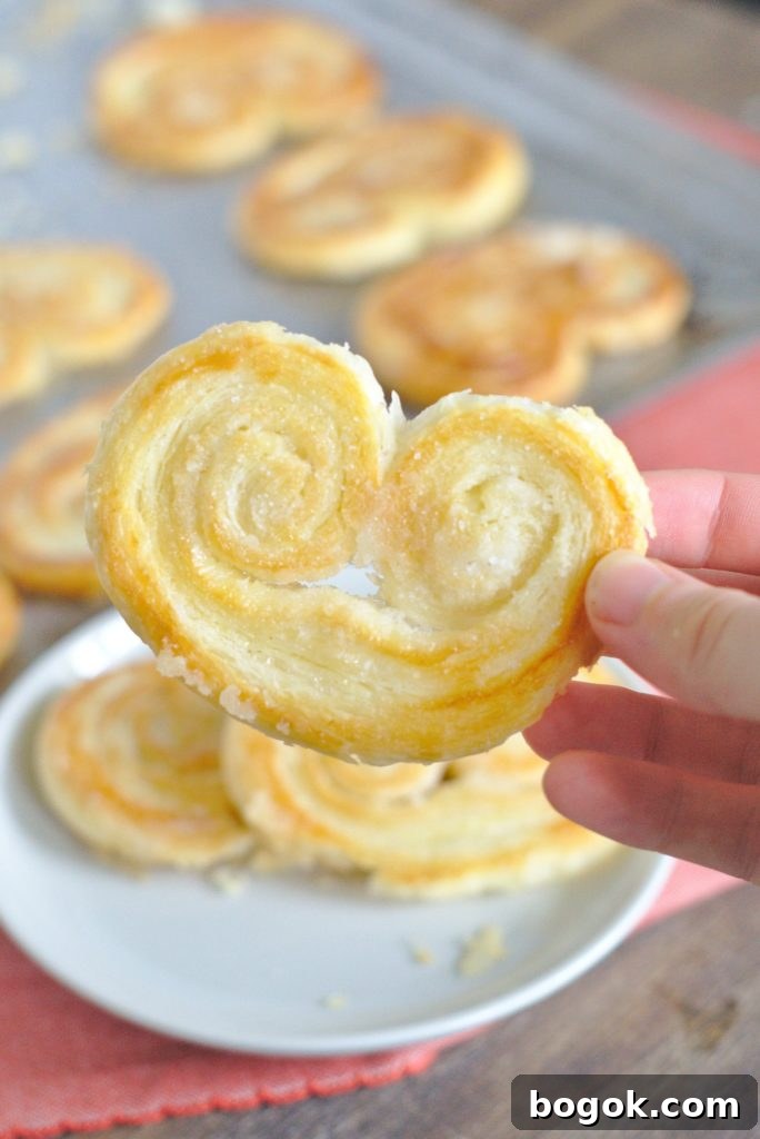 Elephant Ears