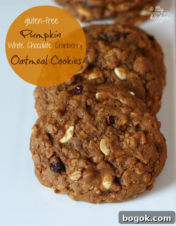 Gluten-free Pumpkin Oatmeal Cookies
