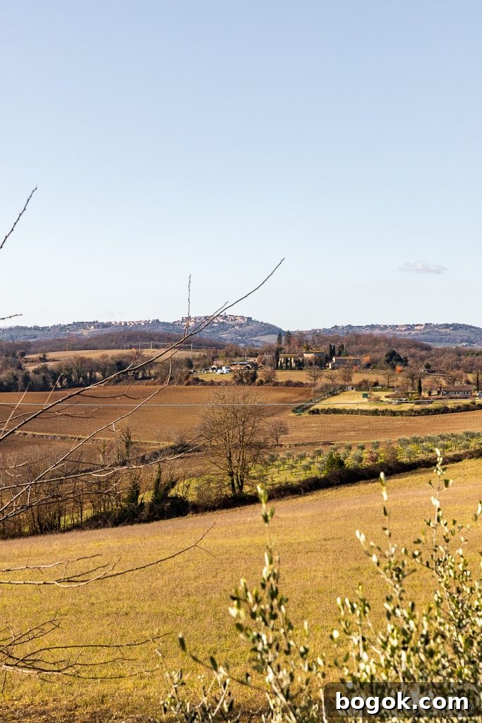 Winter in Tuscany Winter in Tuscany