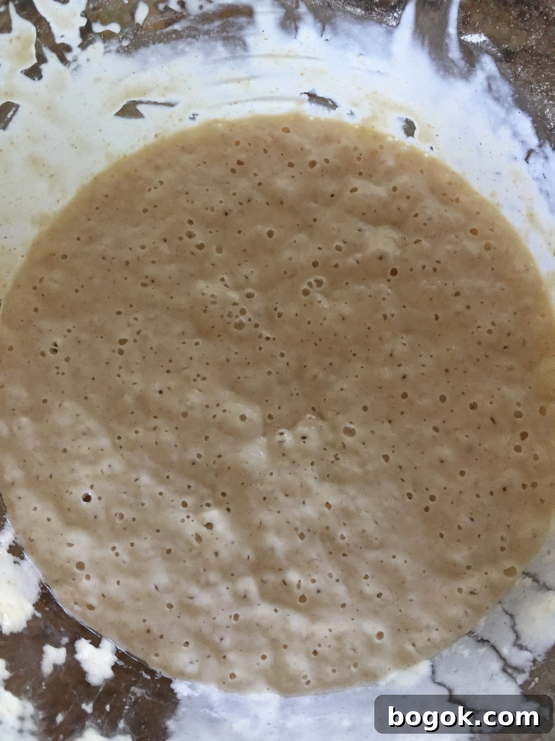 Pancake dough after fermentation