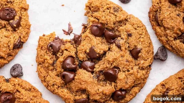 Overhead shot of almond flour chocolate chip cookies, one missing a bite.