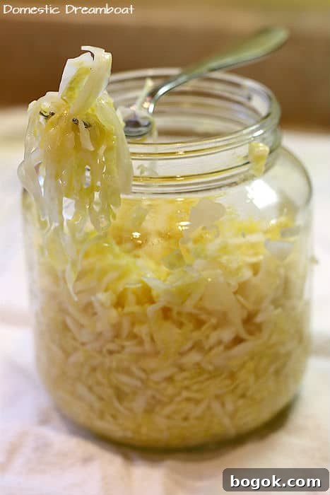 Crispy Roasted Pork Tenderloin with Tangy Sauerkraut 8 Homemade fermented sauerkraut in a jar
