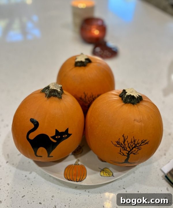 Homemade Pumpkin Puree 3 Pumpkins sitting on a pumpkin plate on a counter.