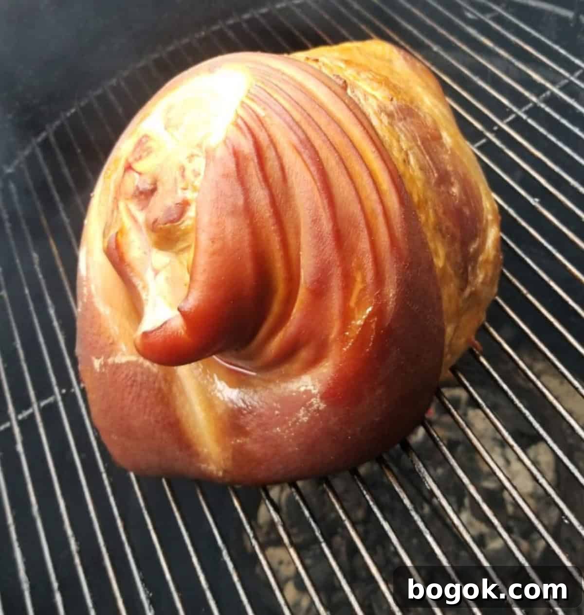 Easter Party Food Ideas and Fun Games for Your Celebration 11 smoked ham in smoker